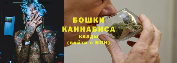 дживик Нязепетровск