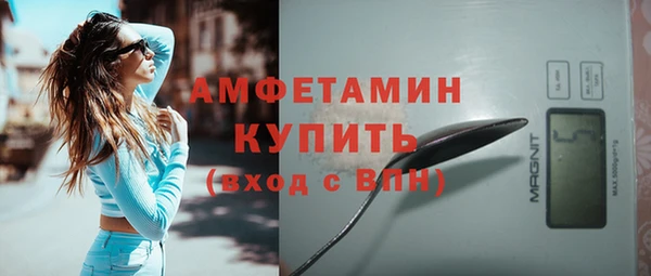 прущий лед Новозыбков