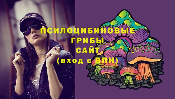 прущий лед Новозыбков