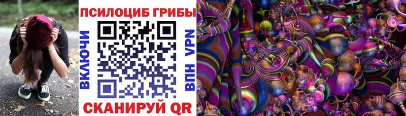 Псилоцибиновые грибы мухоморы  blacksprut маркетплейс  Ревда  где можно купить наркотик 