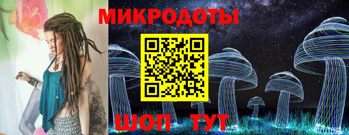 Псилоцибиновые грибы Psilocybe Ревда