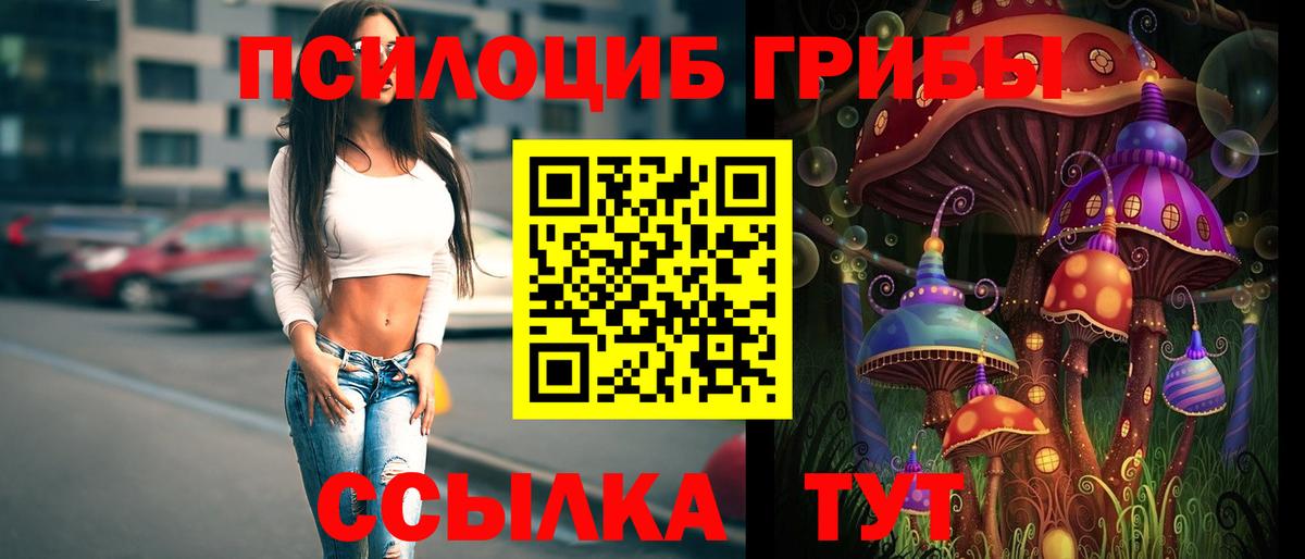 Псилоцибиновые грибы MAGIC MUSHROOMS  Вход с VPN  Ревда 